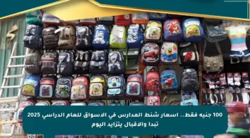 100 جنيه فقط.. أسعار شنط المدارس في الأسواق للعام الدراسي 2025 تبدأ والإقبال يتزايد اليوم